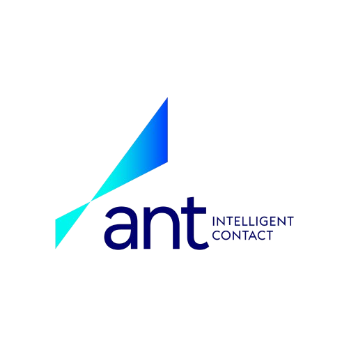 Ant Marketing